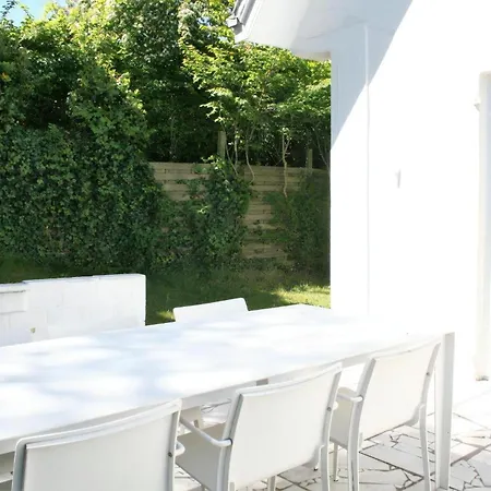 Summer Dream * Le Coq